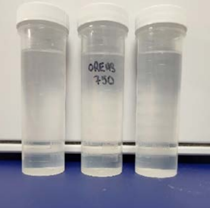 Three clear sample containers with labels